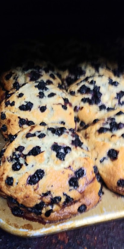 Woolfies Old Fashion Baking | bakery | 279 Lower County Rd, Dennis Port, MA 02639, USA | 5082589980 OR +1 508-258-9980