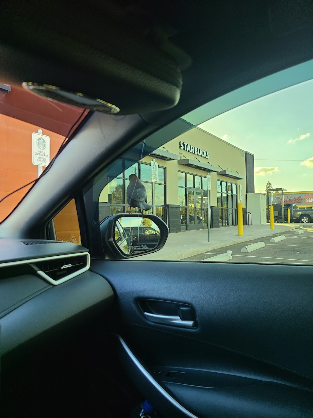 Starbucks | cafe | 5905 W Olive Ave, Glendale, AZ 85302, USA | 6239391230 OR +1 623-939-1230