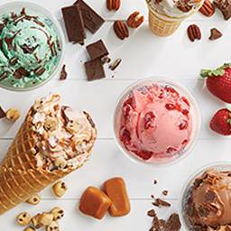 Culvers | restaurant | 1420 S 11th St, Niles, MI 49120, USA | 2696879374 OR +1 269-687-9374