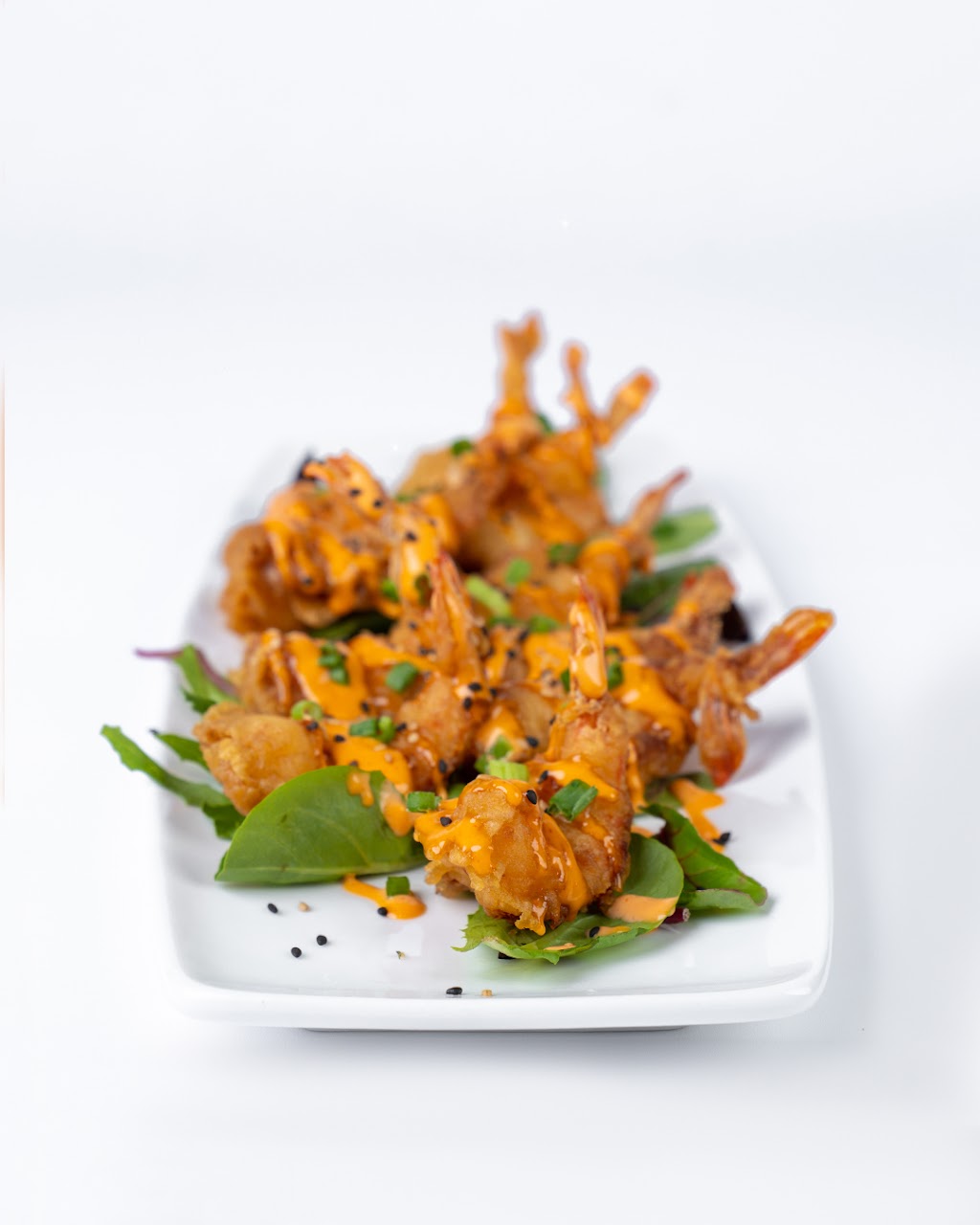 Posh Sushi & Grill | restaurant | 2715 E Del Mar Blvd, Laredo, TX 78041, USA | 9567247674 OR +1 956-724-7674