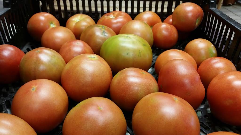 Wholesome Harvest Coop (food store) | restaurant | 30 W Main St, Frostburg, MD 21532, USA | 3016893120 OR +1 301-689-3120