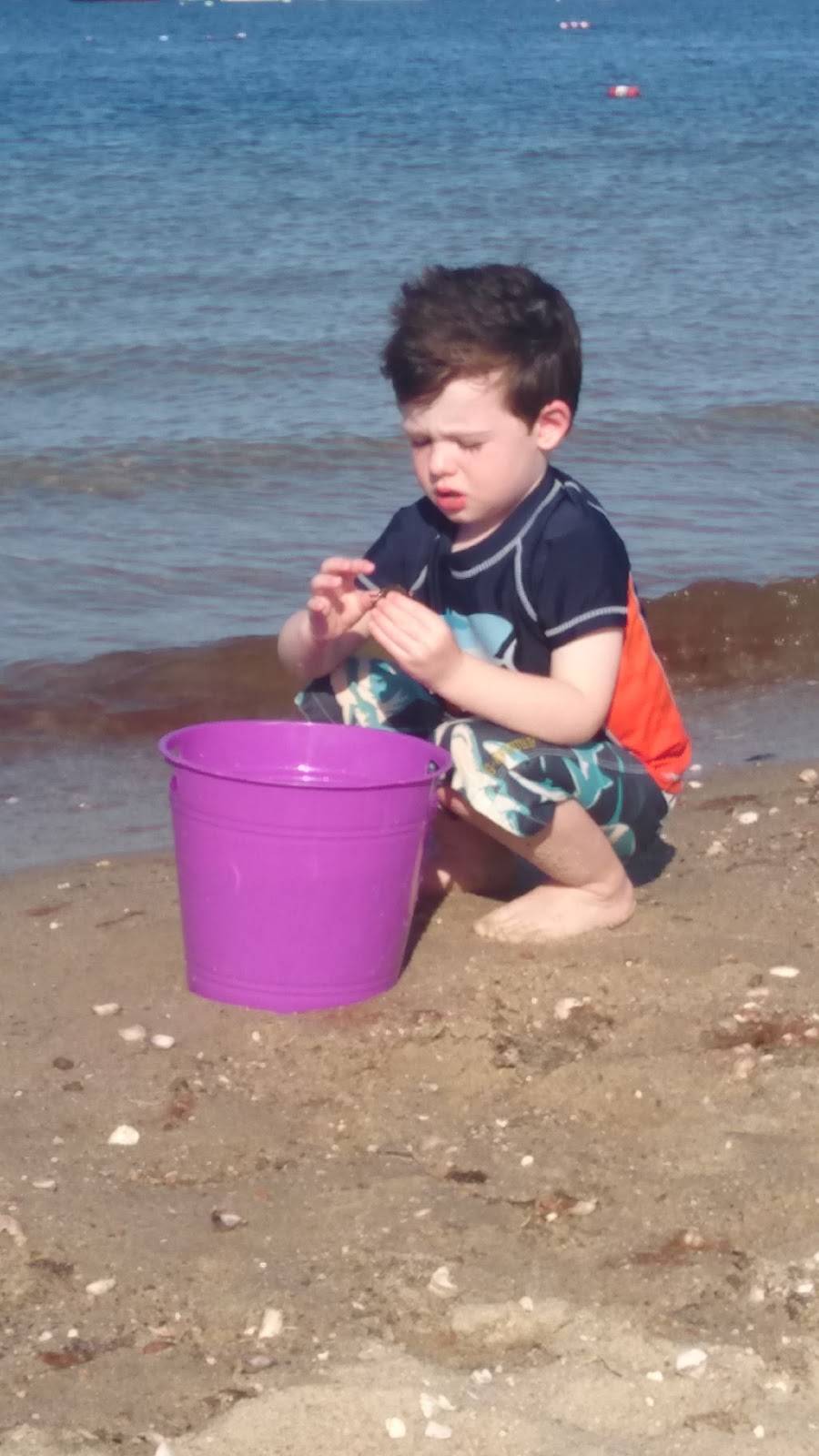 Kalmus Beach Snack Bar | meal takeaway | 670 Ocean St, Hyannis, MA 02601, USA | 5087780777 OR +1 508-778-0777