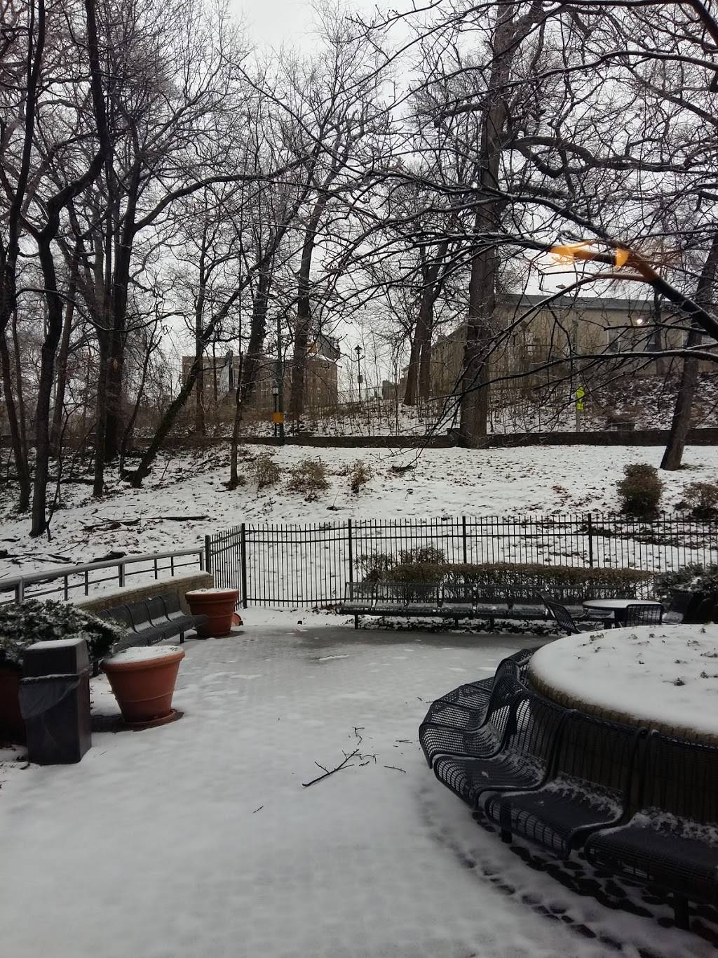 Cafe Azafran | restaurant | 3700 San Martin Dr, Baltimore, MD 21210, USA | 4103384757 OR +1 410-338-4757