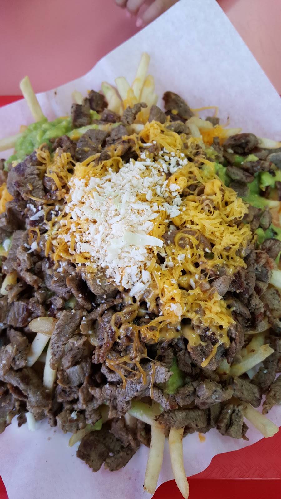 Rigobertos Taco Shop | restaurant | 7345 La Jolla Blvd, La Jolla, CA 92037, USA | 8584544631 OR +1 858-454-4631