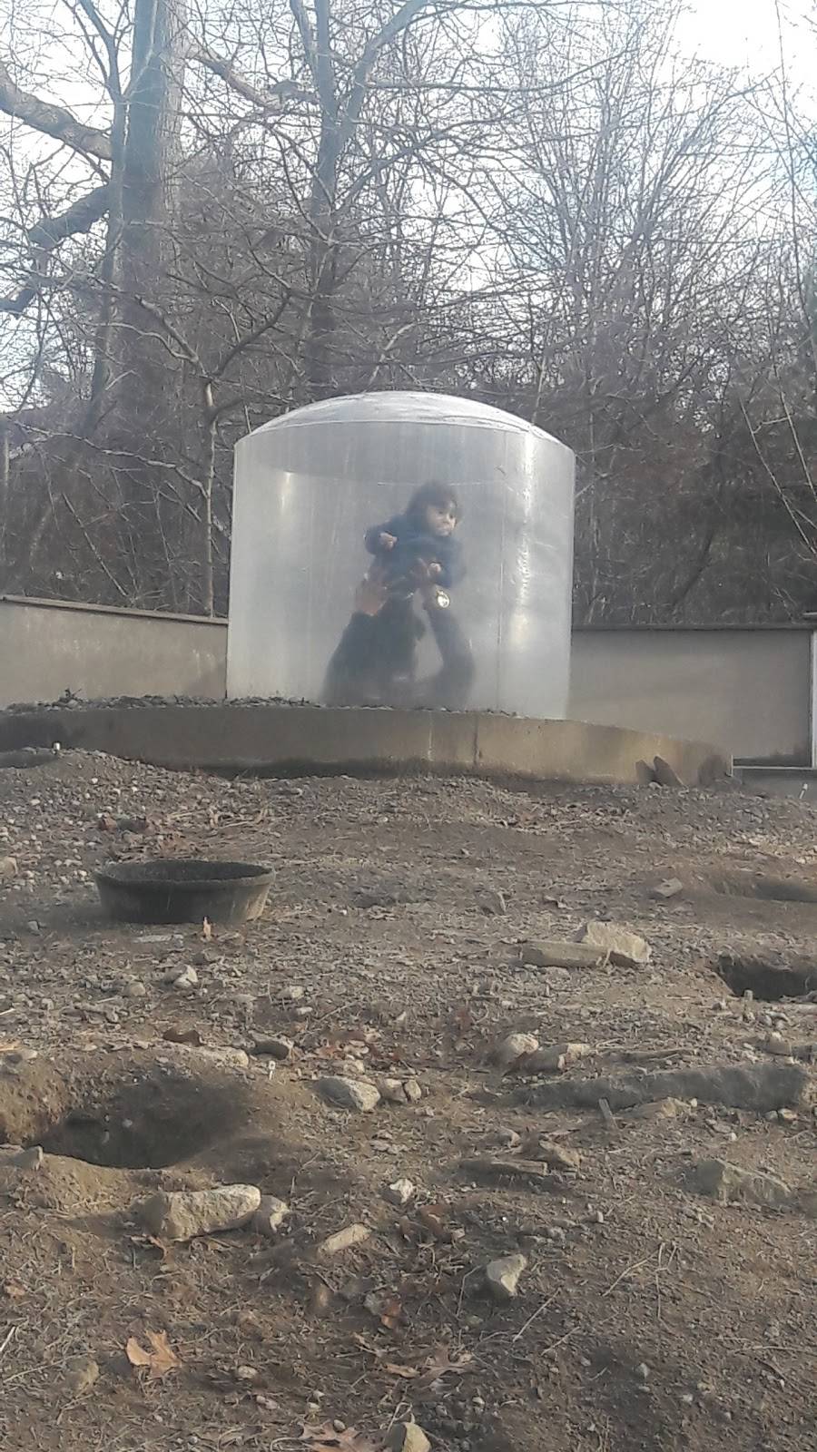 Rio Doce Luncheonette | restaurant | 140 North Ave, Bridgeport, CT 06606, USA | 2032962140 OR +1 203-296-2140