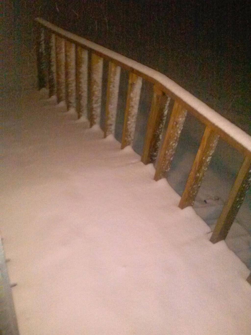 Oz Bar B Que | restaurant | 2020 N Willow Ave, Cookeville, TN 38501, USA | 9315264002 OR +1 931-526-4002