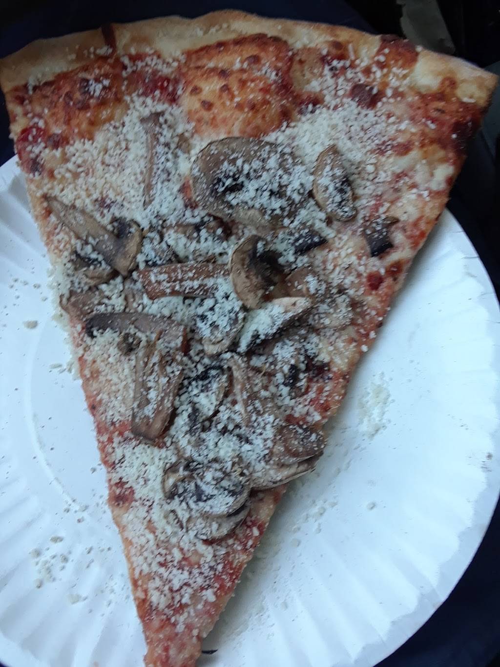 Orchid Island Pizzeria | restaurant | 9300 Florida A1A, Vero Beach, FL 32963, USA | 7723885151 OR +1 772-388-5151