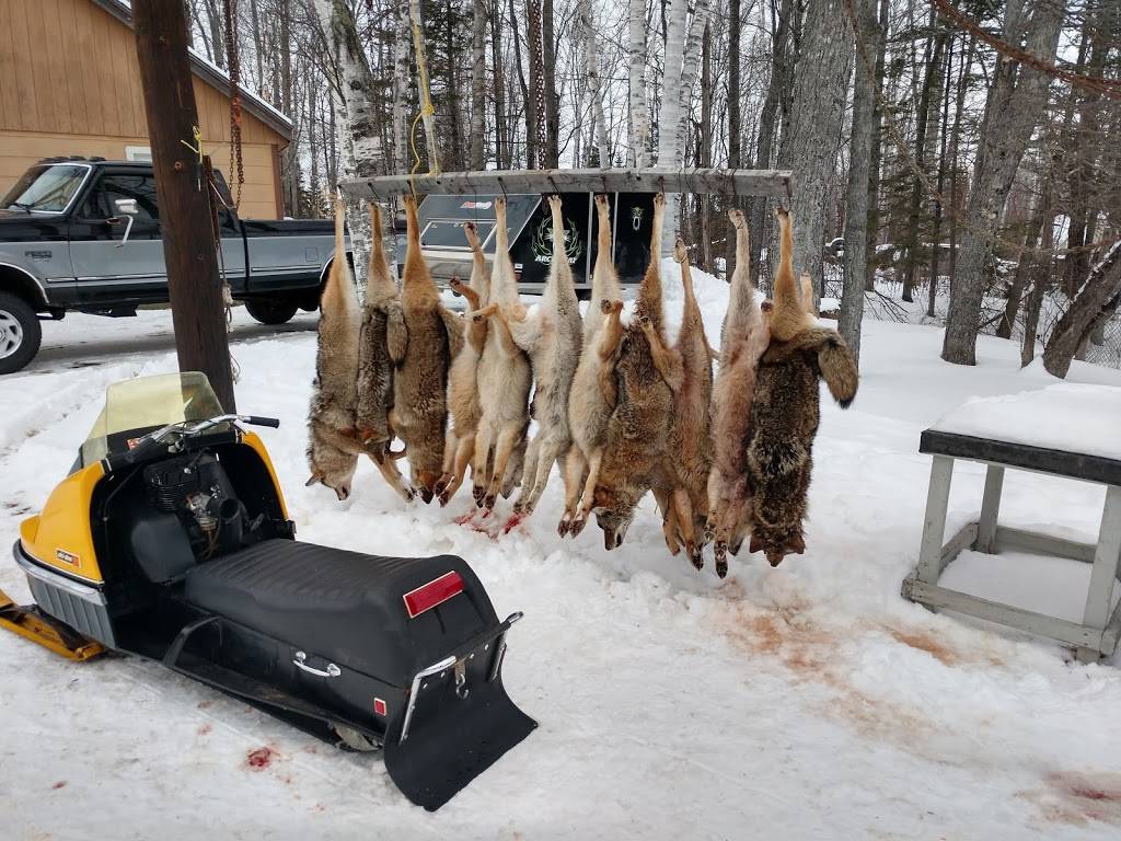 Rachaels Place | restaurant | 3775 US-201, West Forks, ME 04985, USA | 2076632238 OR +1 207-663-2238