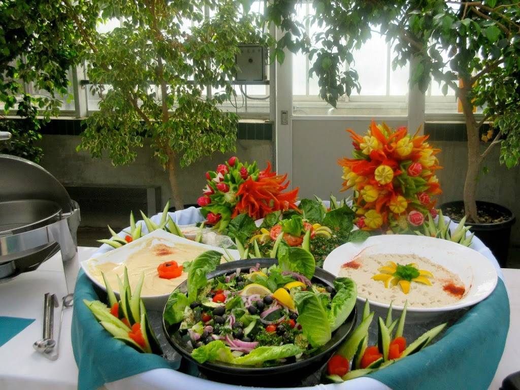 Zaytoon Mediterranean | restaurant | 940 Elmwood Rd, Lansing, MI 48917, USA | 5172035728 OR +1 517-203-5728