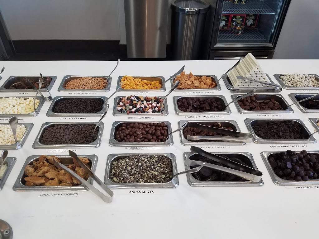 Yogurtology | restaurant | 5017, 1202 S Church Ave suite c, Tampa, FL 33629, USA | 8132512717 OR +1 813-251-2717