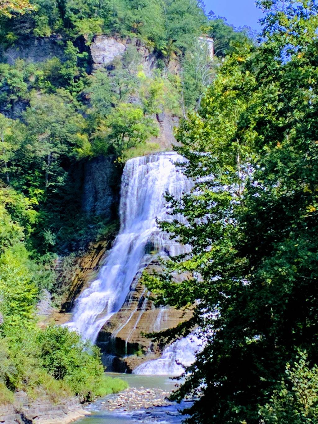 Fall Creek House Restaurant | restaurant | 302 Lake St, Ithaca, NY 14850, USA | 6072774112 OR +1 607-277-4112