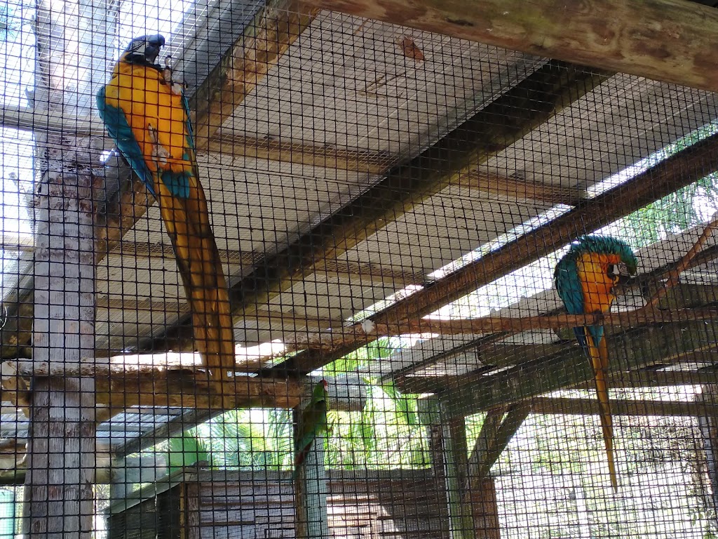 Wild Florida Airboats & Gator Park | restaurant | 3301 Lake Cypress Rd, Kenansville, FL 34739, USA | 4079573135 OR +1 407-957-3135