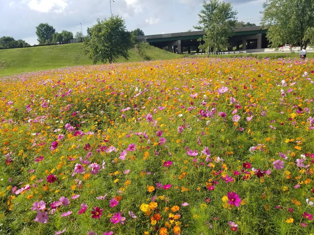 Parkway Lanes | meal takeaway | 200 US-46, Elmwood Park, NJ 07407, USA | 2017914680 OR +1 201-791-4680