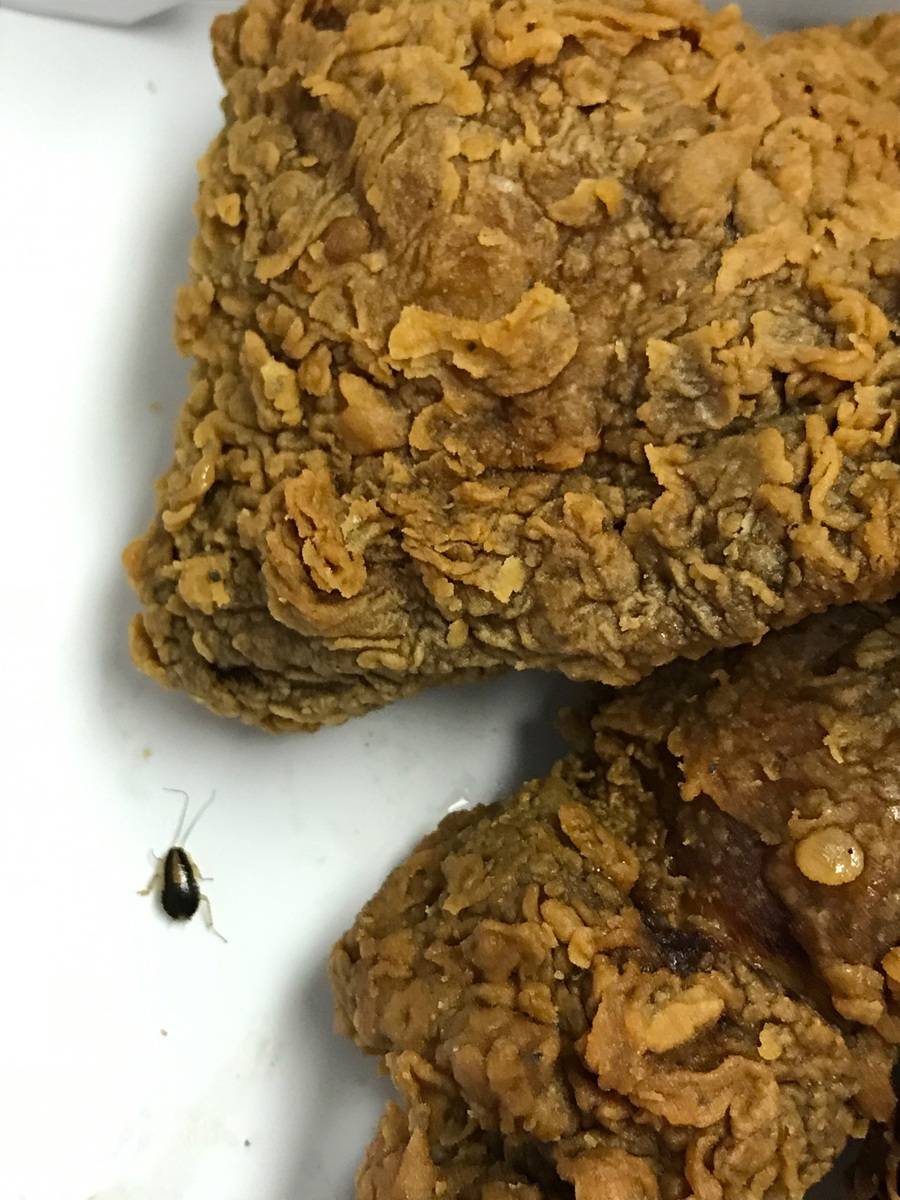 Churchs Chicken | restaurant | 4360 Elvis Presley Blvd, Memphis, TN 38116, USA | 9013483031 OR +1 901-348-3031