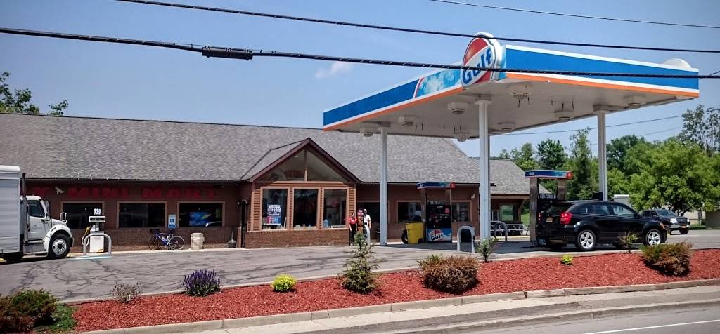 Dandy Mini Mart | meal takeaway | 2700 Slaterville Rd, Slaterville Springs, NY 14881, USA | 6075397762 OR +1 607-539-7762