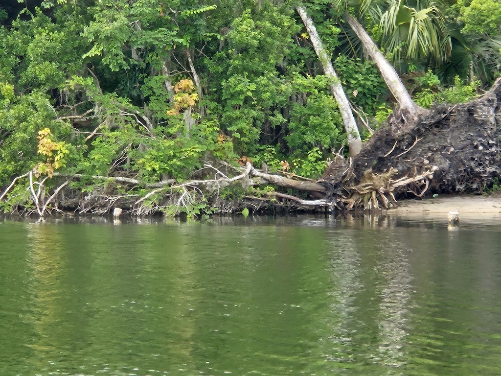 Old Sugar Mill Pancake House | restaurant | 601 Ponce Deleon Blvd, De Leon Springs, FL 32130, USA | 8559802665 OR +1 855-980-2665
