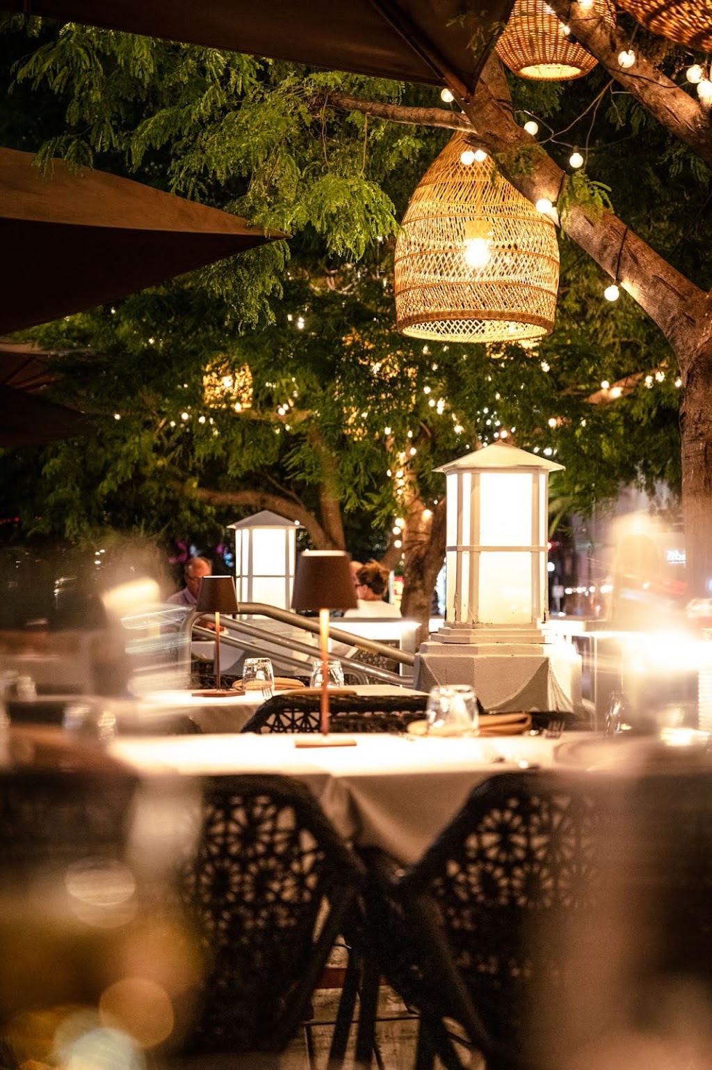 Extra Virgin Bistro Miami beach | restaurant | 1610 Collins Ave, Miami Beach, FL 33139, USA | 7866050819 OR +1 786-605-0819