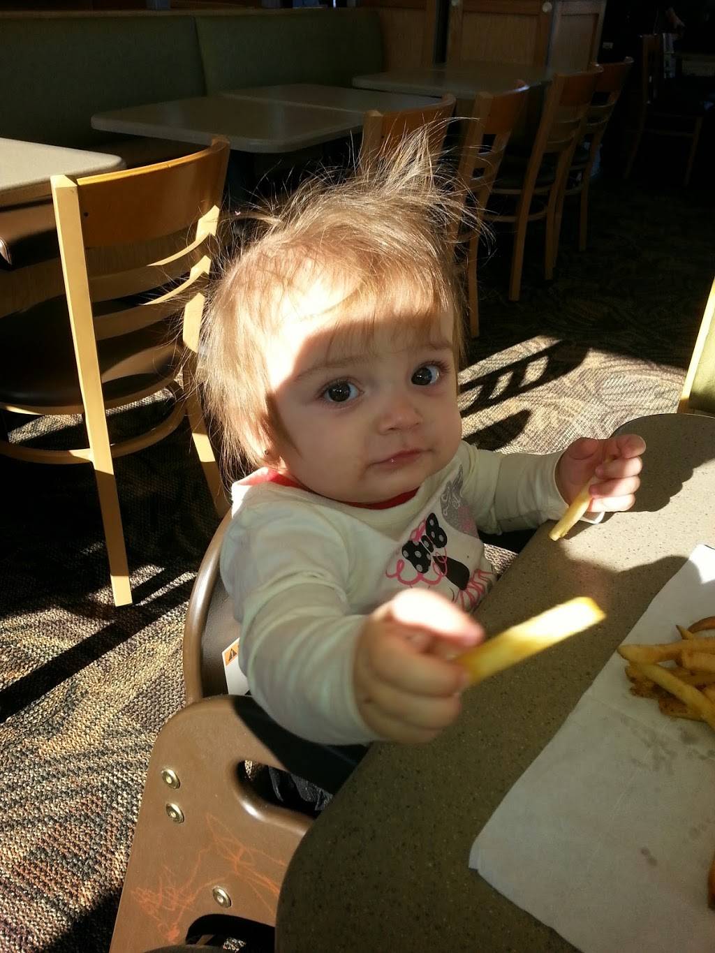 Wendys | restaurant | 2719 Brodhead Rd, Aliquippa, PA 15001, USA | 7243755410 OR +1 724-375-5410