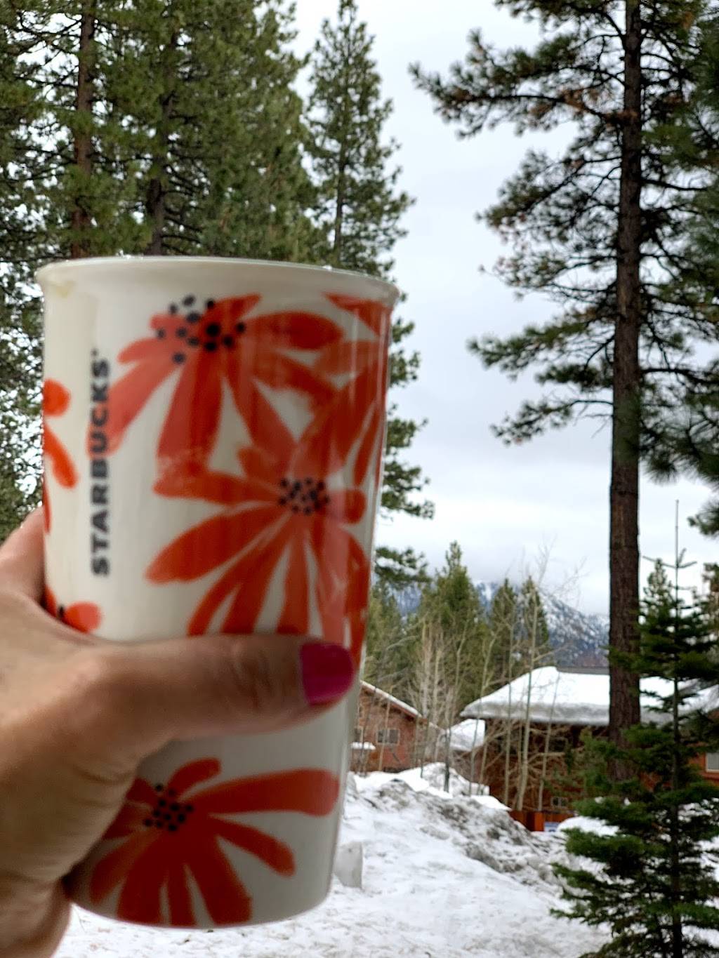 Starbucks | cafe | 2118 Willow Pass Rd #100A, Concord, CA 94520, USA | 9256895357 OR +1 925-689-5357