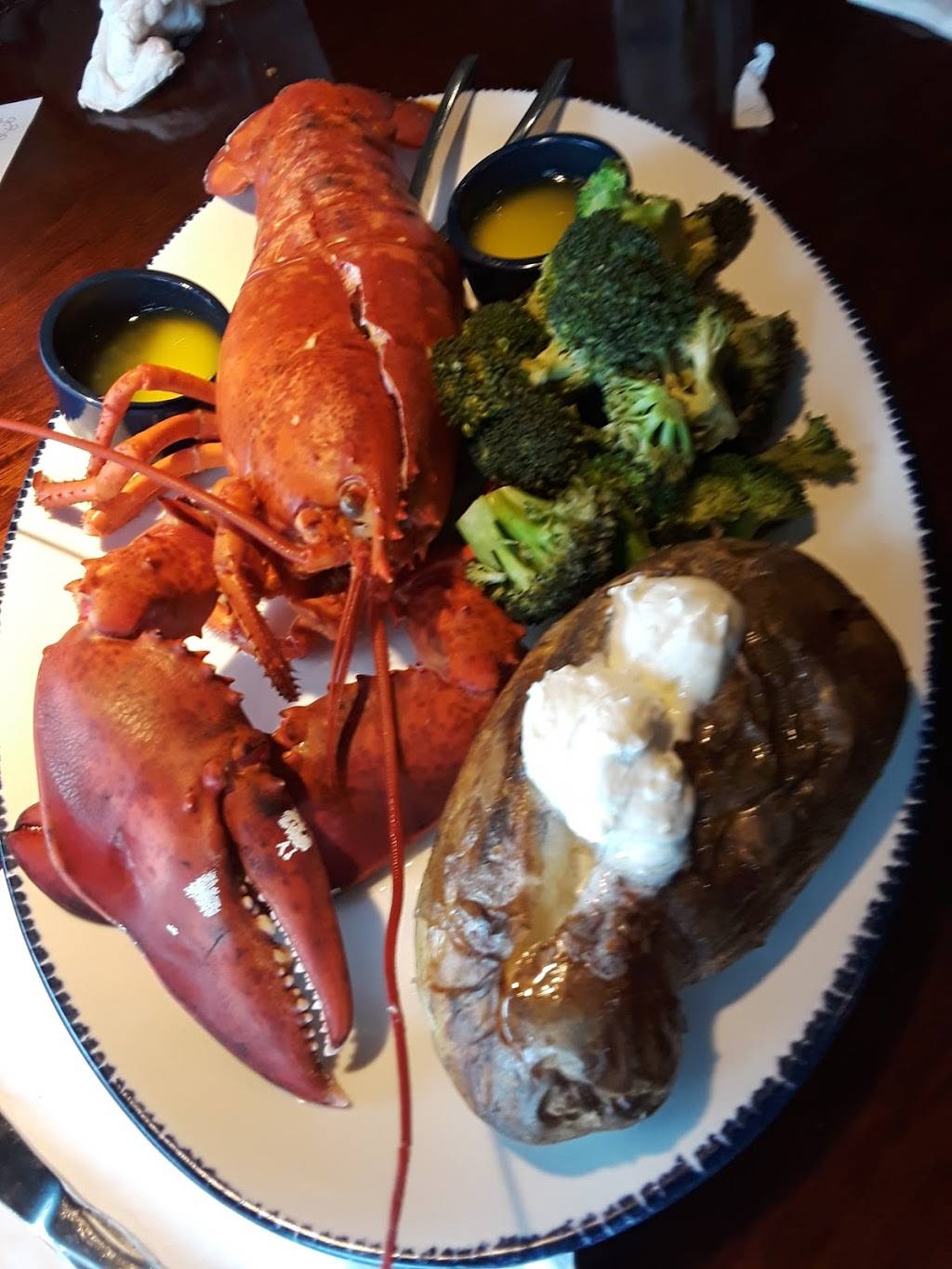 Trattoria Cerbone | restaurant | 71-24 Fresh Pond Rd, Ridgewood, NY 11385, USA | 7183864400 OR +1 718-386-4400