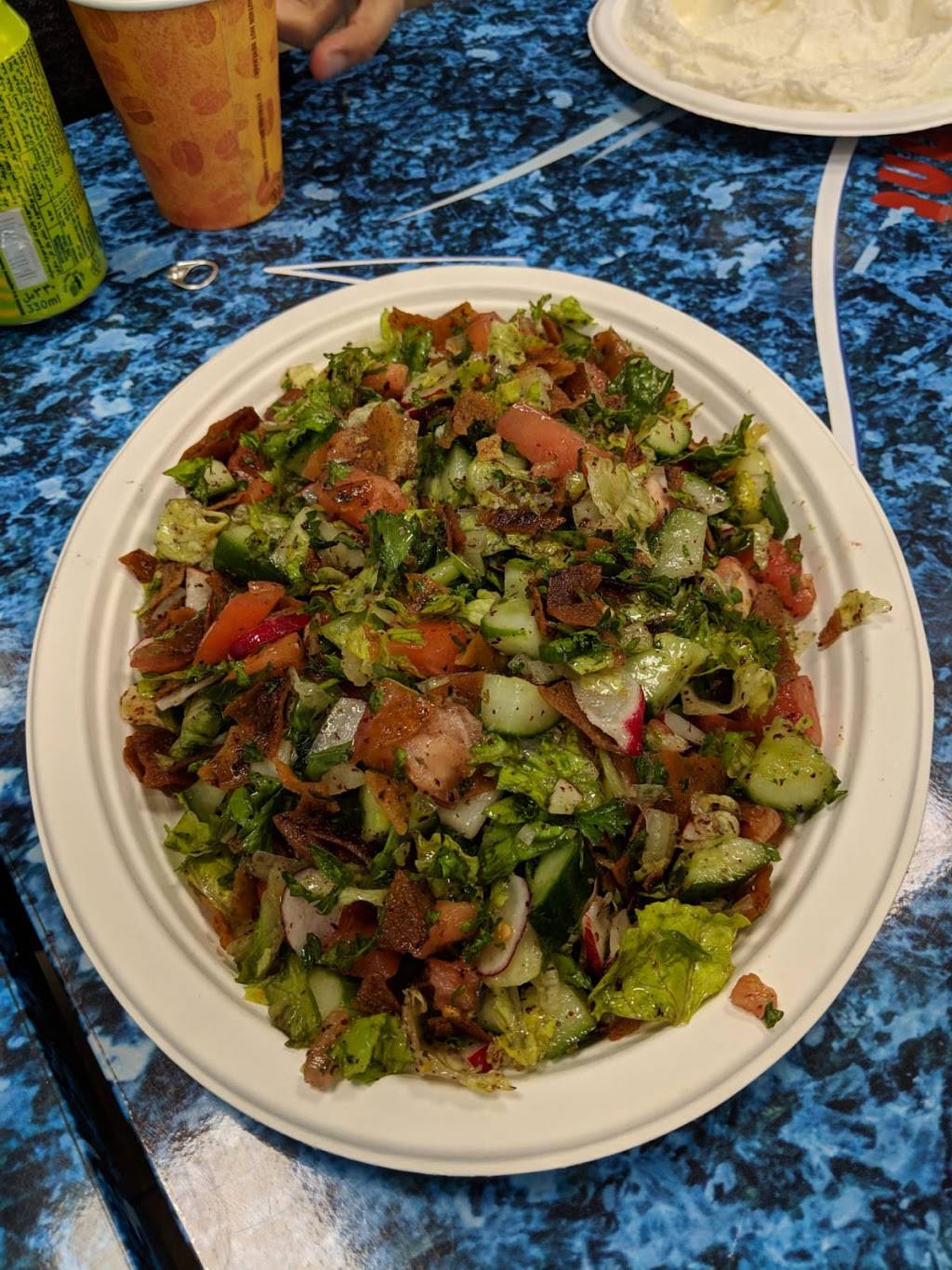 Ghadir Fish Restaurant | restaurant | 1846 Lawrence Ave E, Scarborough, ON M1R 2Y4, Canada | 4167507404 OR +1 416-750-7404