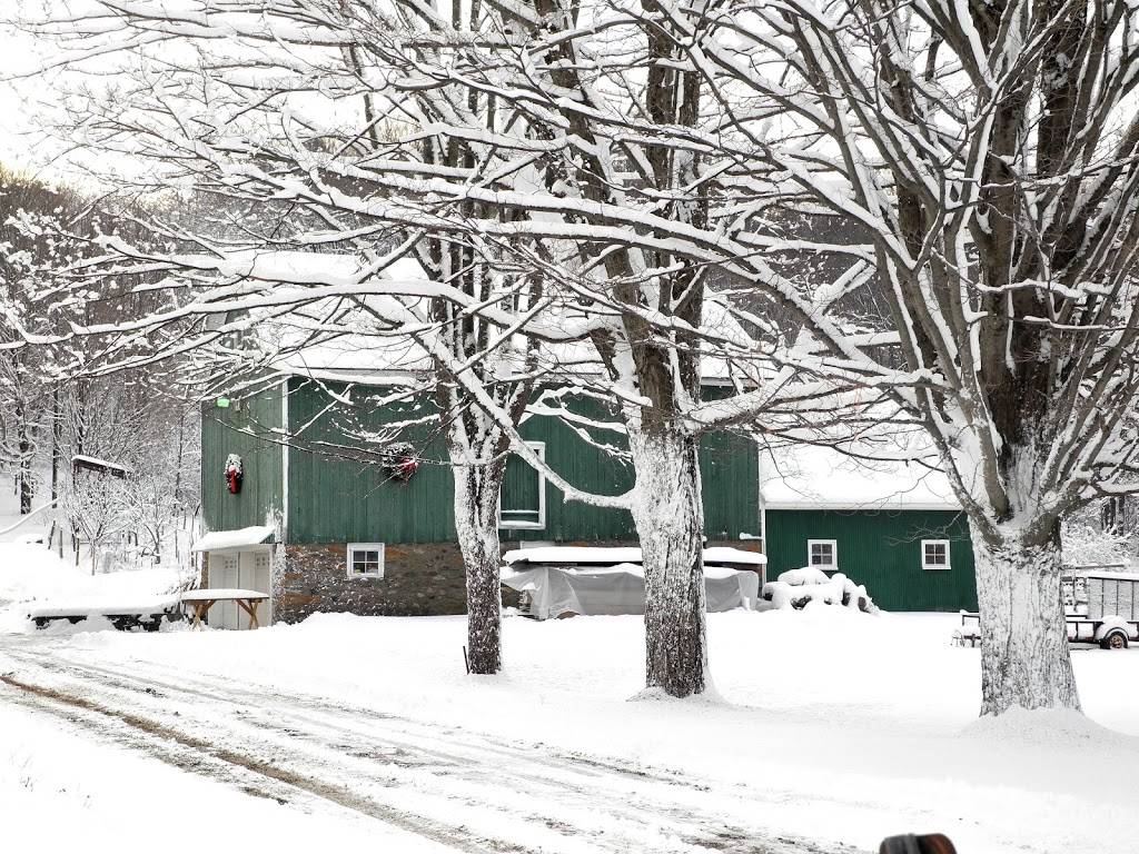 Kringle Christmas Tree Farm | restaurant | 9298 NY-46, Westernville, NY 13486, USA | 3158274534 OR +1 315-827-4534