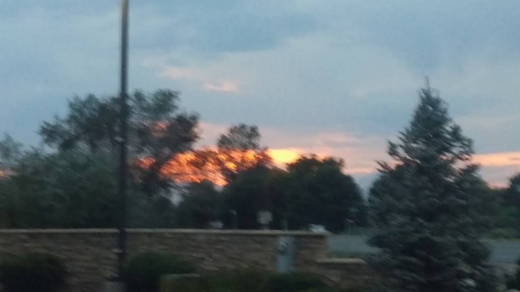 Papa Johns Pizza | restaurant | 126 B W, Bridge St Unit B, Brighton, CO 80601, USA | 3036599000 OR +1 303-659-9000