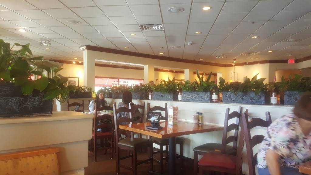 Olive Garden Italian Restaurant | meal takeaway | 445 E Eisenhower Pkwy, Ann Arbor, MI 48108, USA | 7346636875 OR +1 734-663-6875