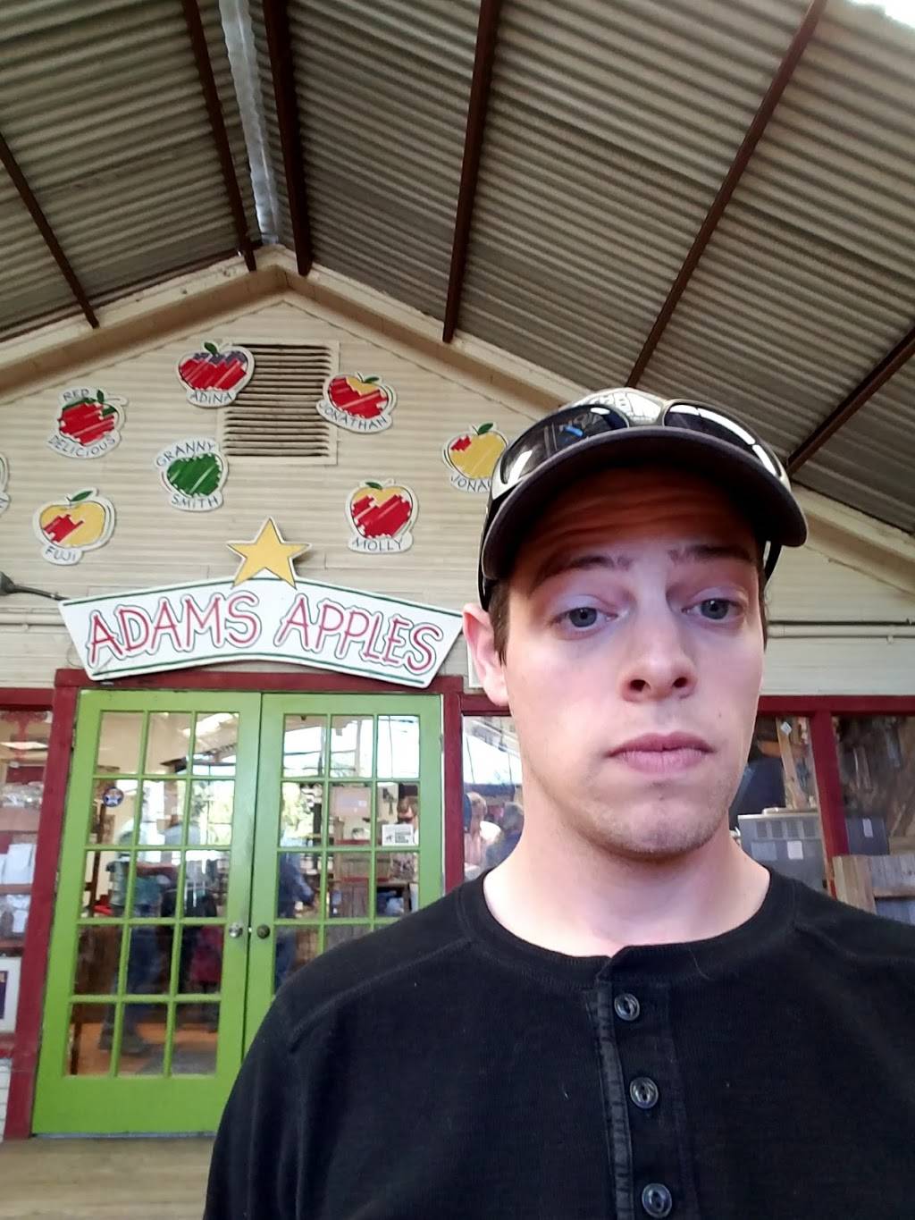 The Apple Store by Love Creek Orchards | bakery | 14024 TX-16, Medina, TX 78055, USA | 8305892202 OR +1 830-589-2202