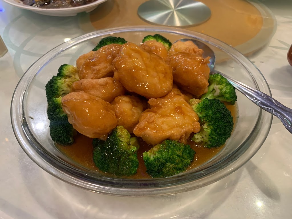 Lucky Dragon | restaurant | 9264 Bellaire Blvd, Houston, TX 77036, USA | 7136405273 OR +1 713-640-5273