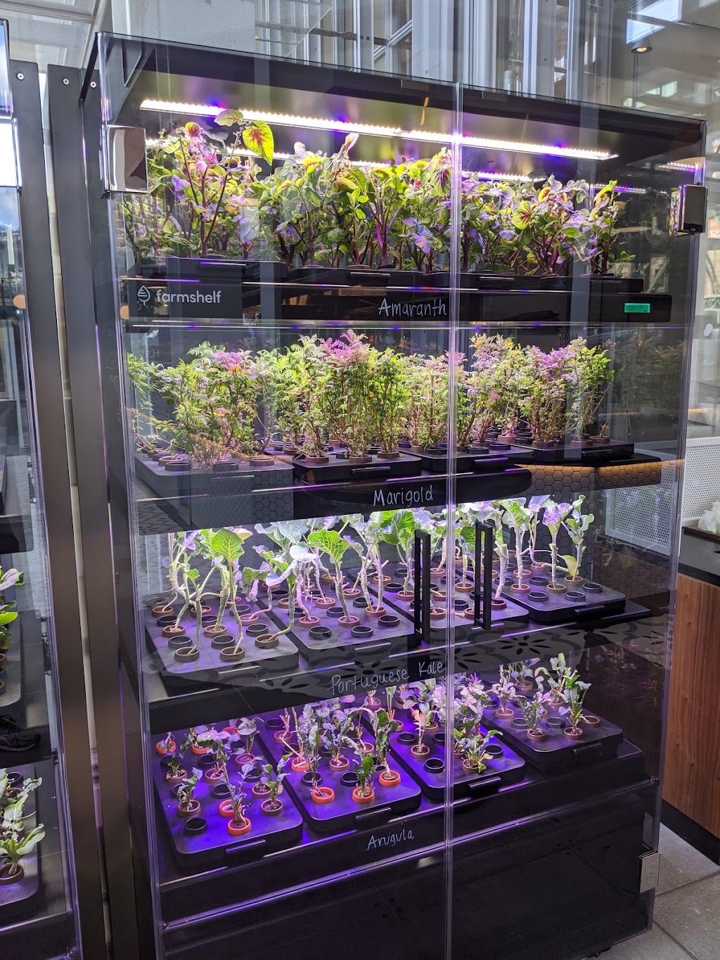 The Botanist | restaurant | 3227 Broadway, New York, NY 10027, USA | 9172465063 OR +1 917-246-5063