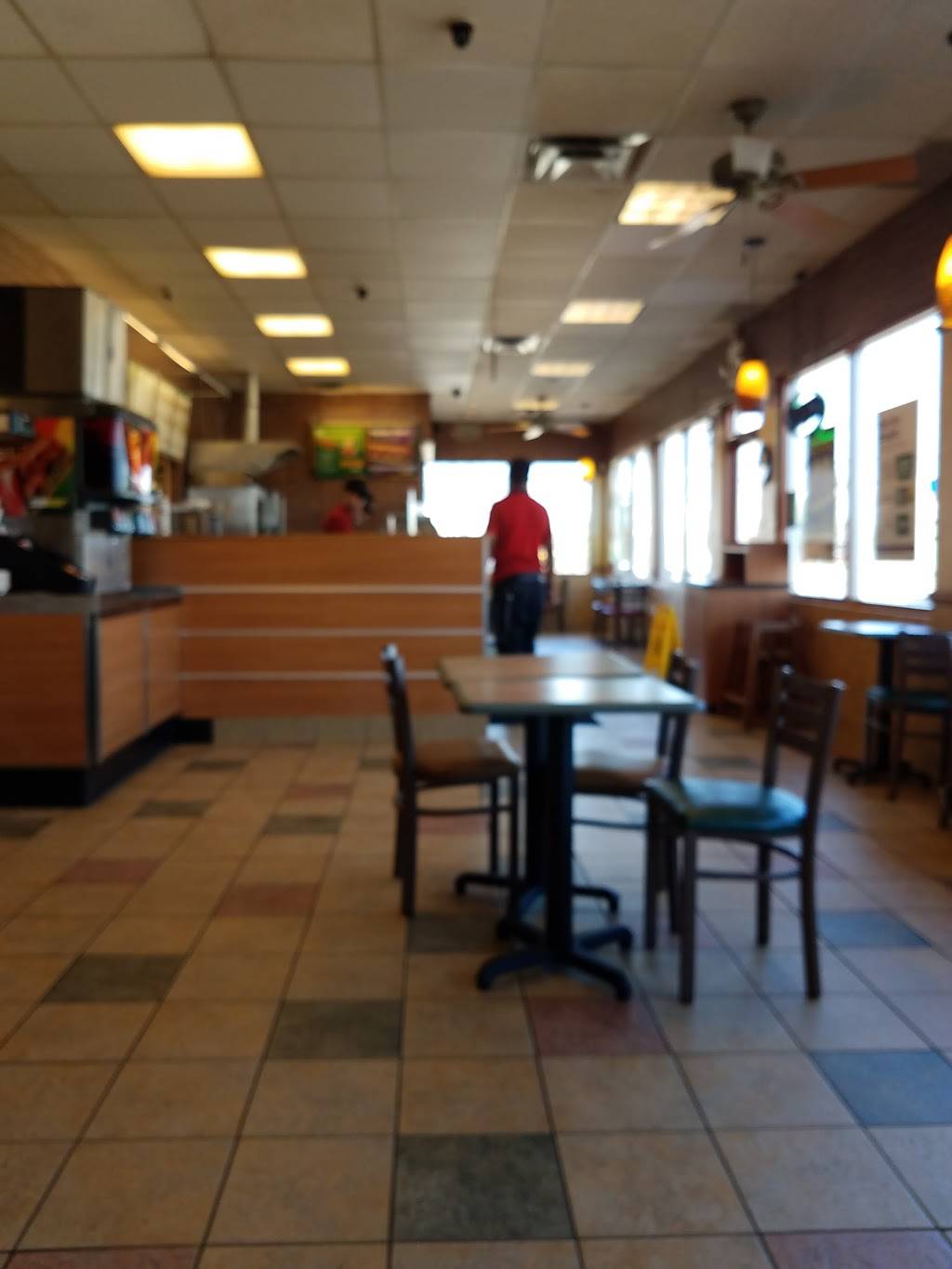 Subway | restaurant | 35427 Goddard Rd, Romulus, MI 48174, USA | 7349419419 OR +1 734-941-9419