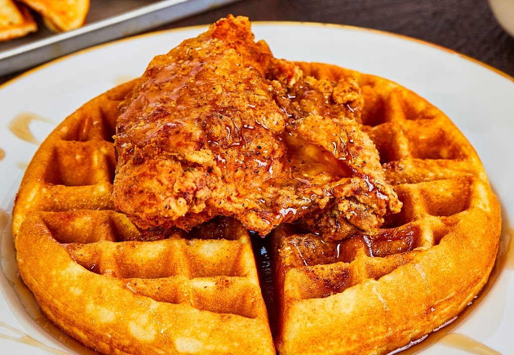 BJs Urban Kitchen | restaurant | 1035 Franklin St SE, Grand Rapids, MI 49507, USA | 6167244130 OR +1 616-724-4130