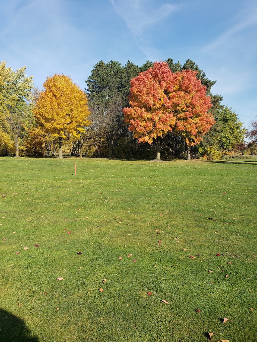 Twin Oaks Golf Course | restaurant | 6710 Freeland Rd, Freeland, MI 48623, USA | 9896959746 OR +1 989-695-9746