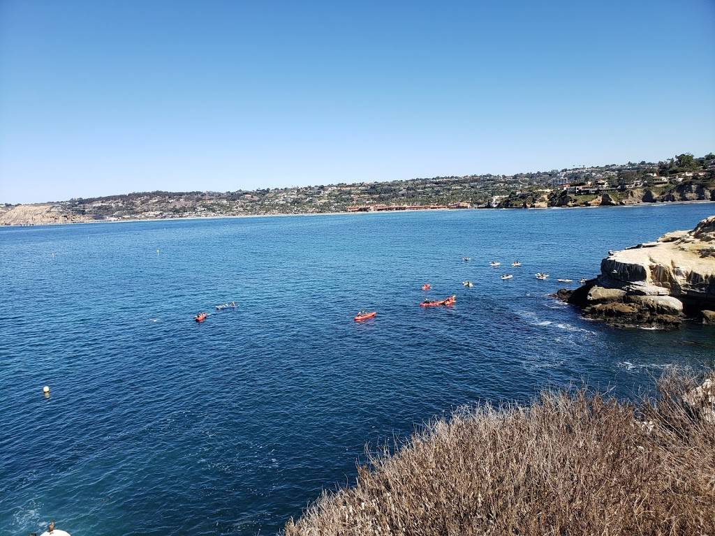 Jack in the Box | restaurant | 3838 Midway Dr, San Diego, CA 92110, USA | 6192242122 OR +1 619-224-2122