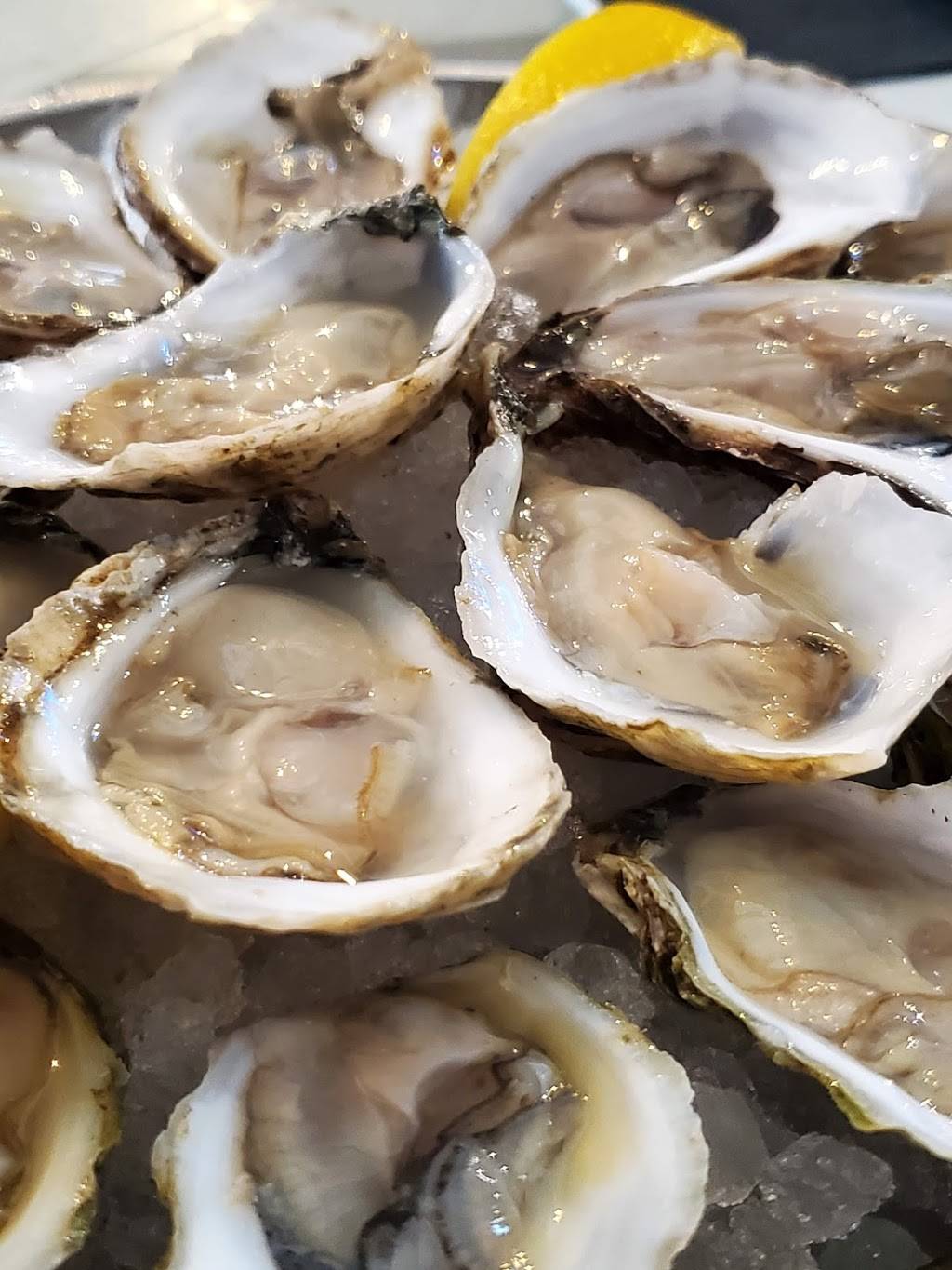 Shuck Oyster Bar | restaurant | 3313 Hyland Ave a1, Costa Mesa, CA 92626, USA | 9494200478 OR +1 949-420-0478