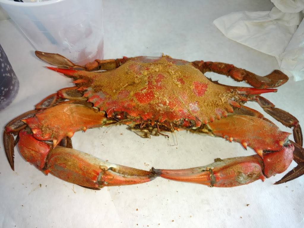 Cheshire Crab | restaurant | 1701 Poplar Ridge Rd, Pasadena, MD 21122, USA | 4103602220 OR +1 410-360-2220