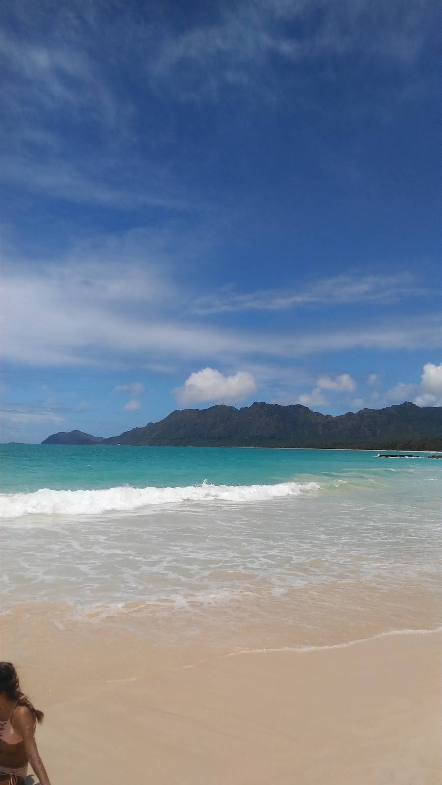 Jack in the Box | restaurant | 384 Kamehameha Hwy, Pearl City, HI 96782, USA | 8084878404 OR +1 808-487-8404