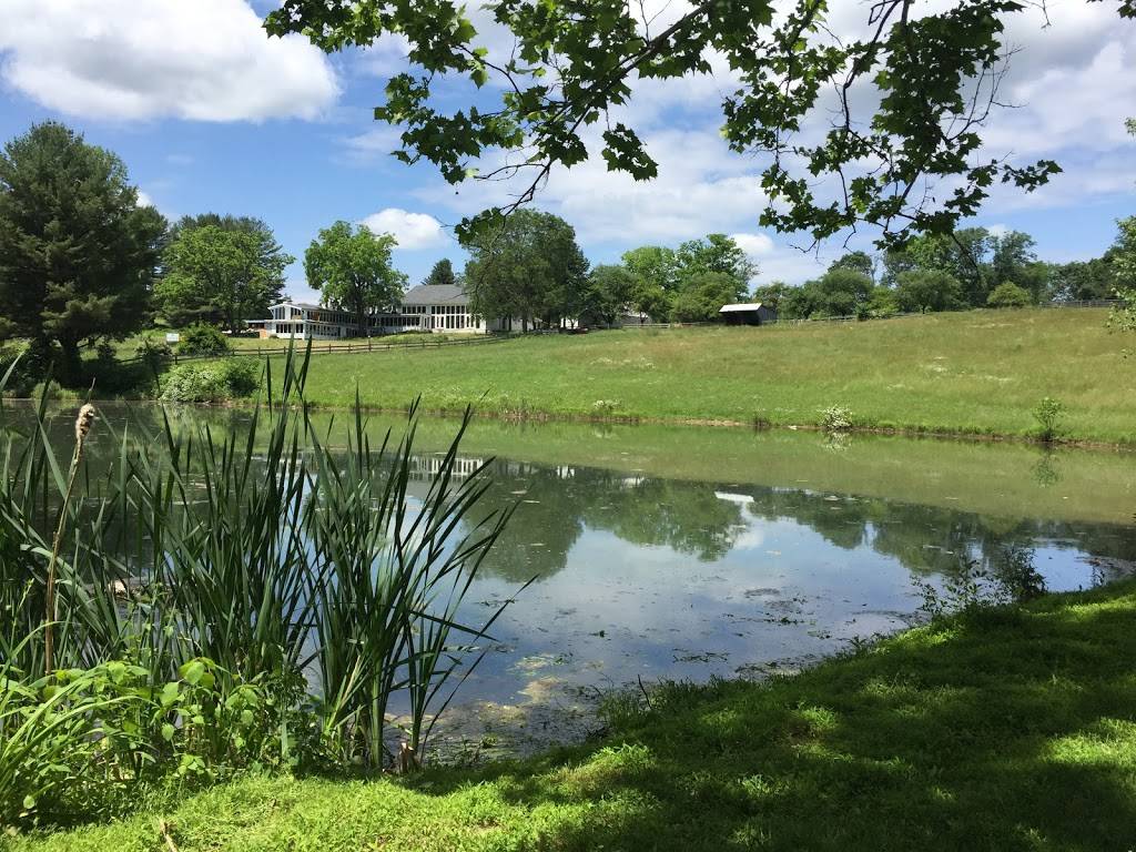 Durham Springs | restaurant | 5065 Lehnenberg Rd, Kintnersville, PA 18930, USA | 4849072100 OR +1 484-907-2100