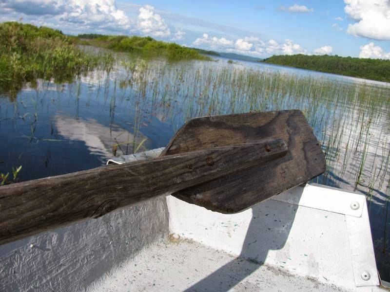 Chez Rainville | restaurant | 50 Chemin Rainville, Grand-Remous, QC J0W 1E0, Canada | 8194385258 OR +1 819-438-5258