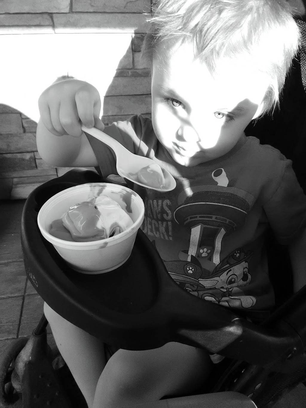 Frenchys Ice Cream and Grille | restaurant | 2747 Main St, Crown Point, NY 12928, USA | 5185973938 OR +1 518-597-3938