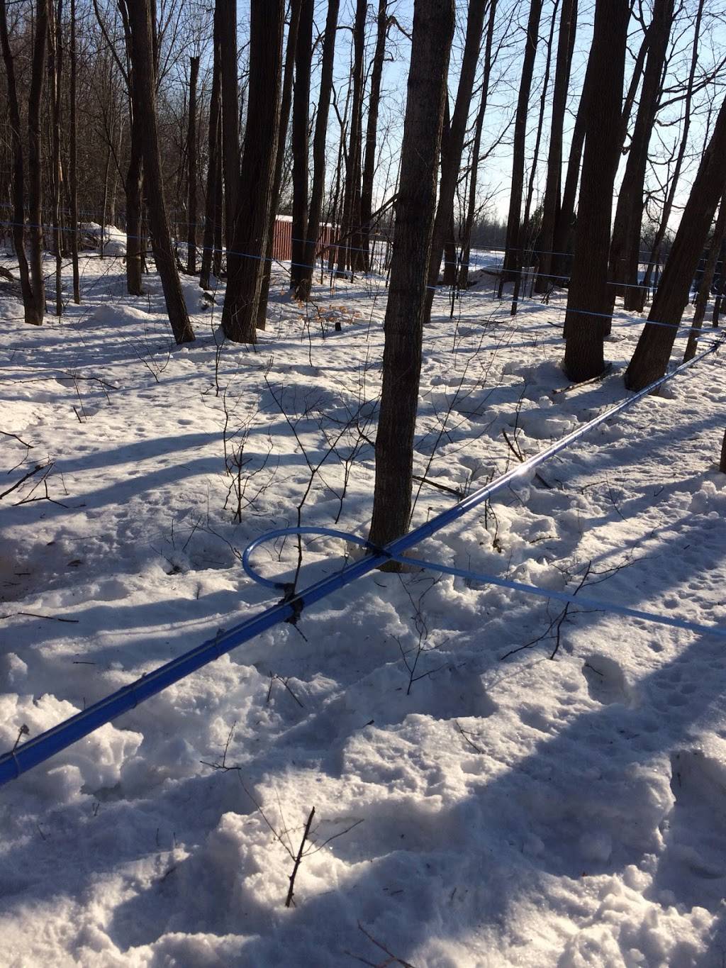 Greenlane Maple | restaurant | 2875 Greenlane east, East Hawkesbury, ON K6A 2R2, Canada | 6136764035 OR +1 613-676-4035