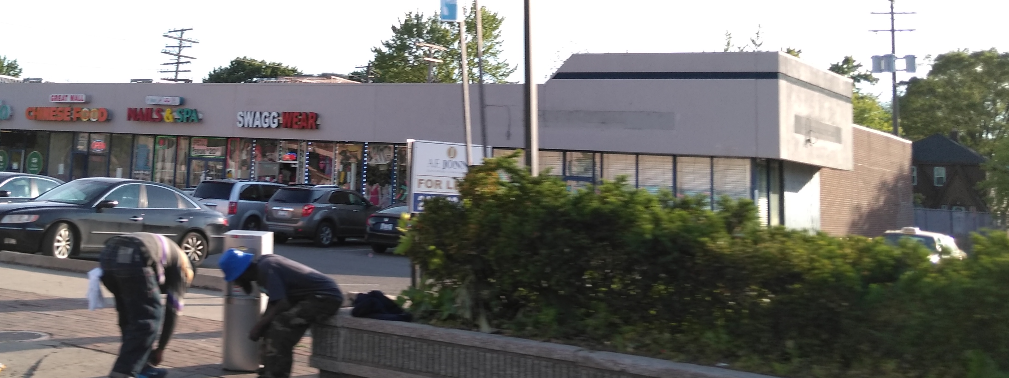 Great Wall | restaurant | 14307 Greenfield Rd, Detroit, MI 48227, USA | 3138378888 OR +1 313-837-8888