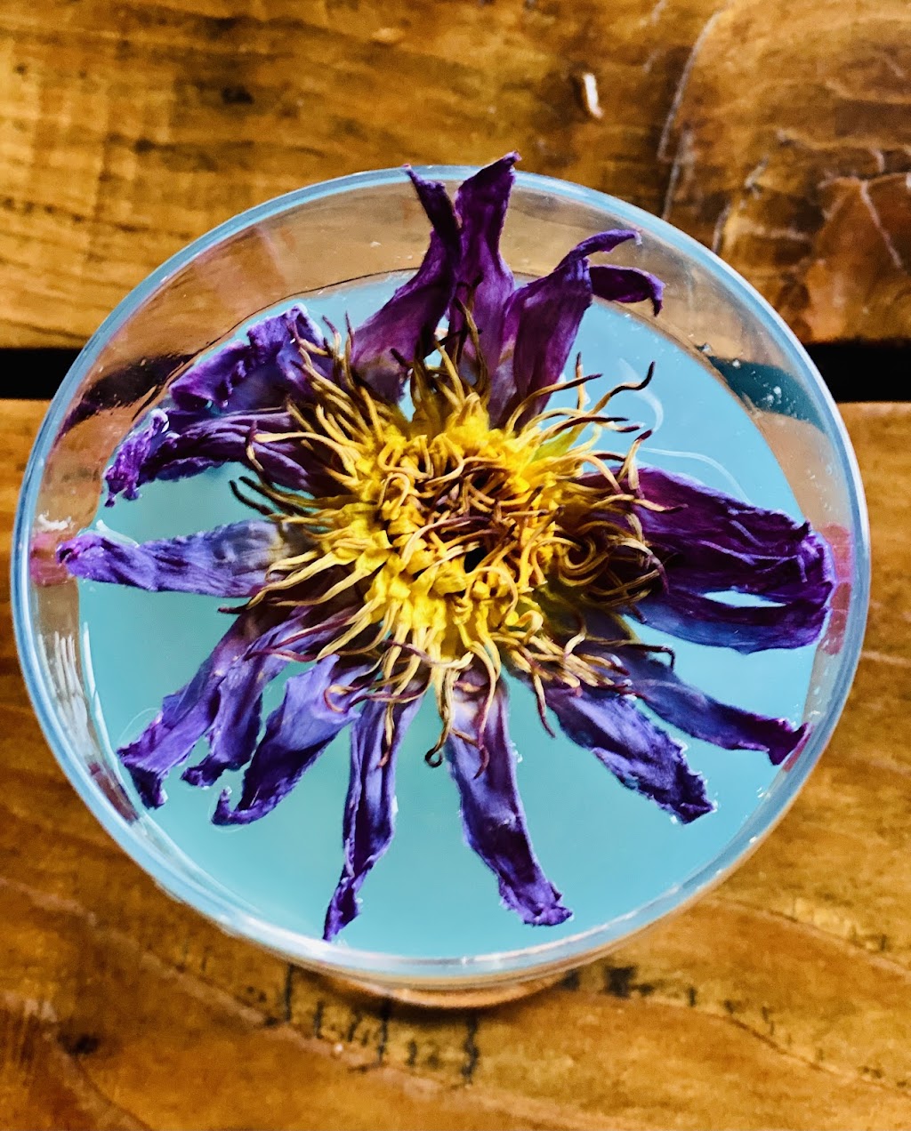 Young Hearts Distilling | restaurant | 225 S Wilmington St, Raleigh, NC 27601, USA | 9194247817 OR +1 919-424-7817