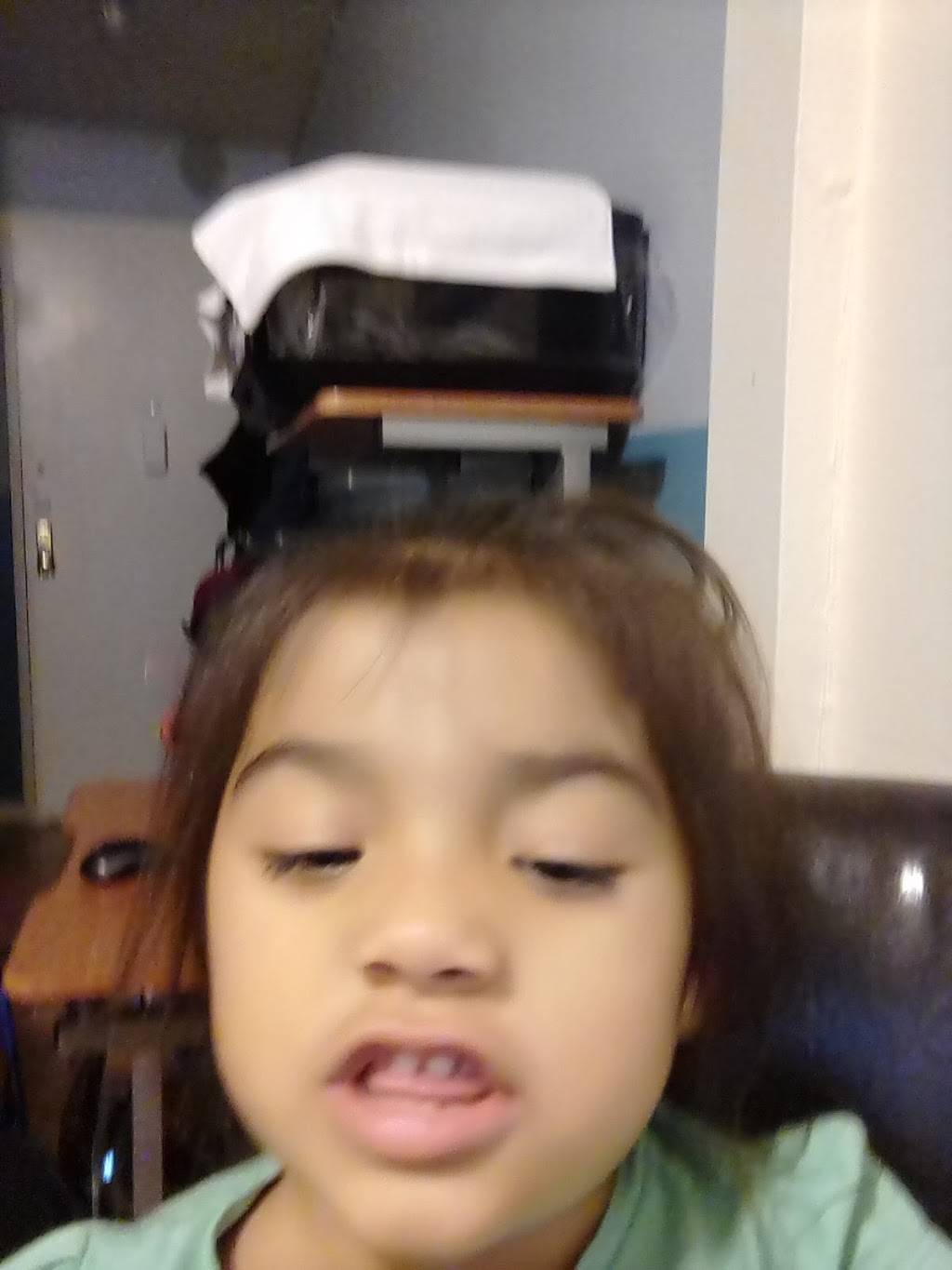 Zhangs Garden | restaurant | 17525 Jamaica Ave, Jamaica, NY 11432, USA | 7182629888 OR +1 718-262-9888