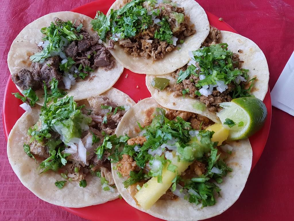 La Taqueria | restaurant | 3650 Rue Ontario E, Montréal, QC H1W 1R9, Canada | 5145217500 OR +1 514-521-7500