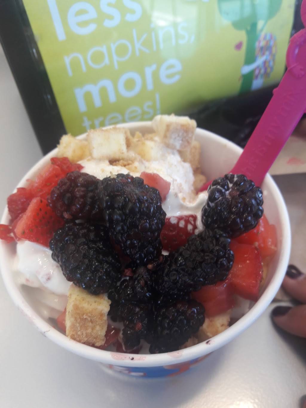 Menchies Frozen Yogurt | bakery | 11331 Thienes Ave, South El Monte, CA 91733, USA | 6264444779 OR +1 626-444-4779