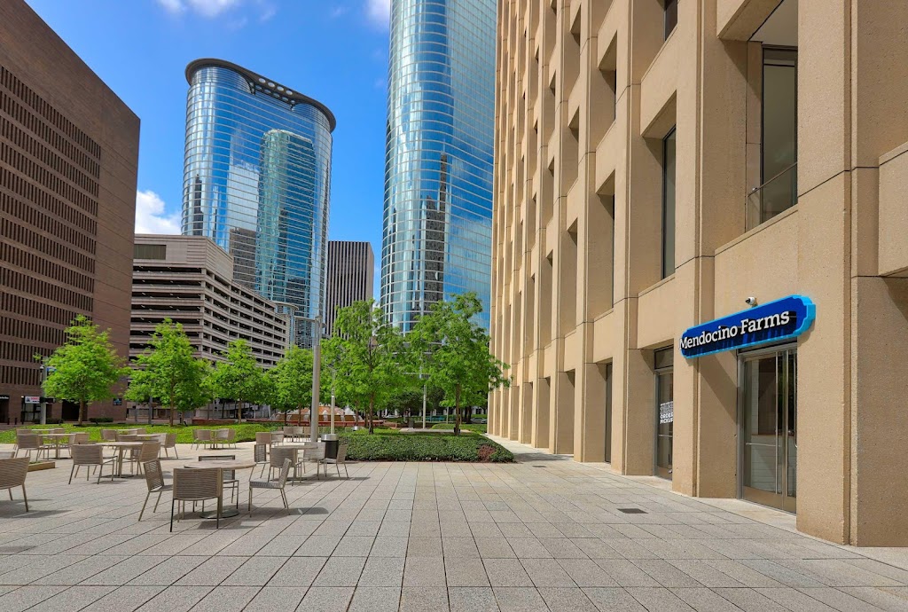 Mendocino Farms | restaurant | 1200 Smith St, Houston, TX 77002, USA | 7135958086 OR +1 713-595-8086
