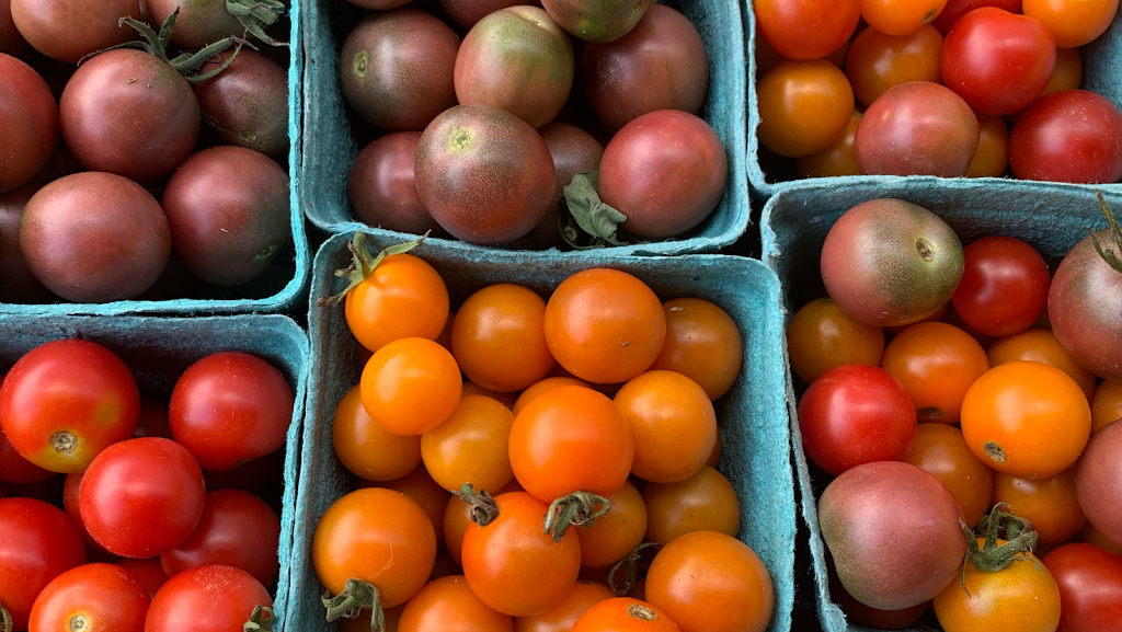 Kounter Kulture | restaurant | 3825 Watson Rd, St. Louis, MO 63109, USA | 3147814344 OR +1 314-781-4344