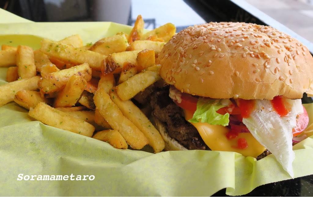 Buffalo Burger | restaurant | 5317 Geary Blvd, San Francisco, CA 94121, USA | 4156681267 OR +1 415-668-1267